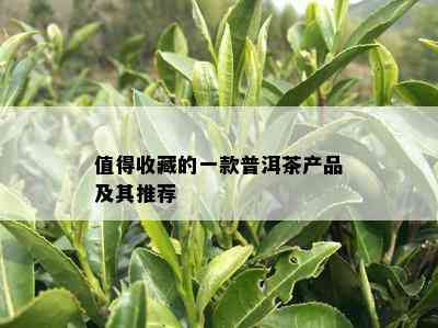 值得收藏的一款普洱茶产品及其推荐