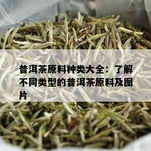 普洱茶原料种类大全：了解不同类型的普洱茶原料及图片