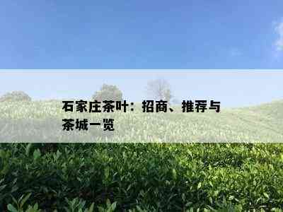 石家庄茶叶：招商、推荐与茶城一览