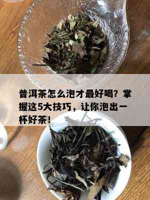 普洱茶怎么泡才更好喝？掌握这5大技巧，让你泡出一杯好茶！