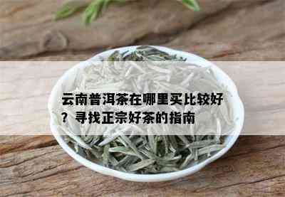 云南普洱茶在哪里买比较好？寻找正宗好茶的指南