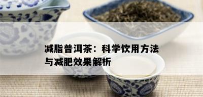 减脂普洱茶：科学饮用方法与减肥效果解析