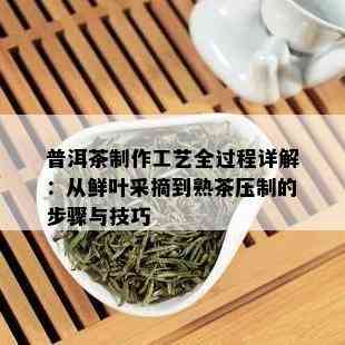 普洱茶制作工艺全过程详解：从鲜叶采摘到熟茶压制的步骤与技巧