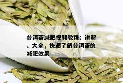 普洱茶减肥视频教程：讲解、大全，快速了解普洱茶的减肥效果