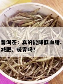 普洱茶：真的能降低血脂、减肥、暖胃吗？