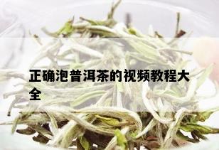 正确泡普洱茶的视频教程大全