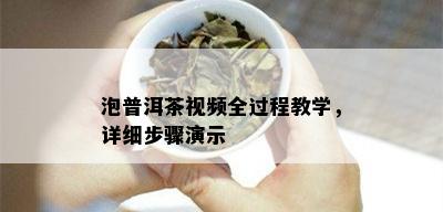 泡普洱茶视频全过程教学，详细步骤演示