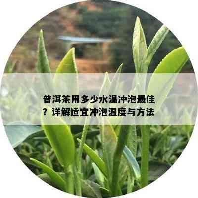 普洱茶用多少水温冲泡更佳？详解适宜冲泡温度与方法