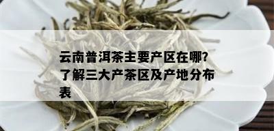 云南普洱茶主要产区在哪？了解三大产茶区及产地分布表