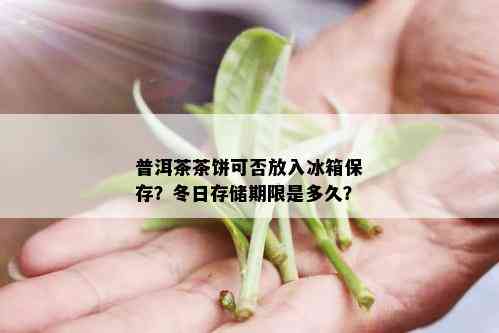 普洱茶茶饼可否放入冰箱保存？冬日存储期限是多久？