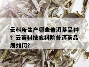 云科所生产哪些普洱茶品种？云茶科技农科院普洱茶品质如何？