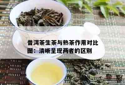 普洱茶生茶与熟茶作用对比图：清晰呈现两者的区别