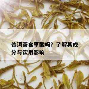 普洱茶含草酸吗？了解其成分与饮用影响