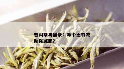 普洱茶与黑茶：哪个更有效助你减肥？