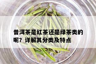 普洱茶是红茶还是绿茶类的呢？详解其分类及特点