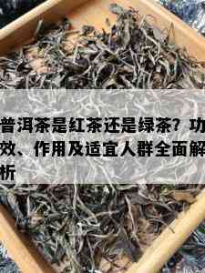 普洱茶是红茶还是绿茶？功效、作用及适宜人群全面解析