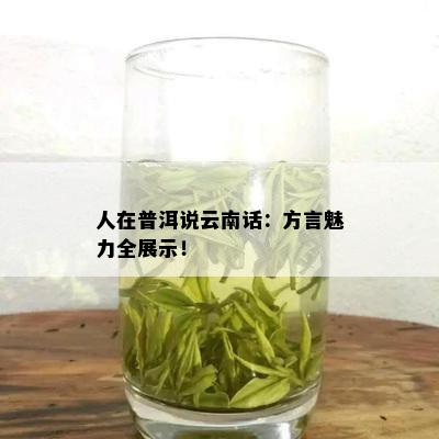 人在普洱说云南话：方言魅力全展示！