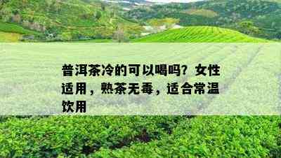 普洱茶冷的可以喝吗？女性适用，熟茶无，适合常温饮用