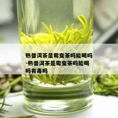 熟普洱茶是霉变茶吗能喝吗-熟普洱茶是霉变茶吗能喝吗有吗