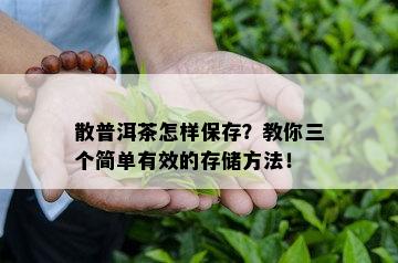 散普洱茶怎样保存？教你三个简单有效的存储方法！