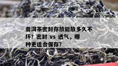 普洱茶密封存放能放多久不坏？密封 vs 透气，哪种更适合保存？