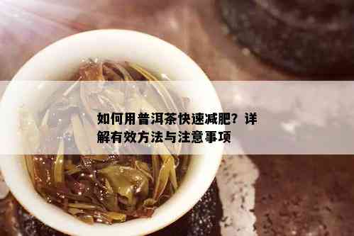 如何用普洱茶快速减肥？详解有效方法与注意事项