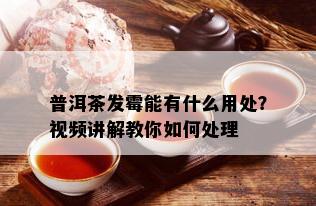 普洱茶发霉能有什么用处？视频讲解教你如何处理