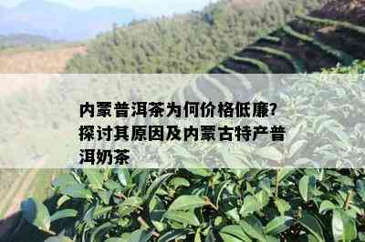 内蒙普洱茶为何价格低廉？探讨其原因及内蒙古特产普洱奶茶