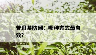 普洱茶防潮：哪种方式最有效？