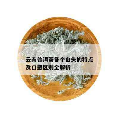 云南普洱茶各个山头的特点及口感区别全解析