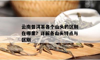 云南普洱茶各个山头的区别在哪里？详解各山头特点与区别