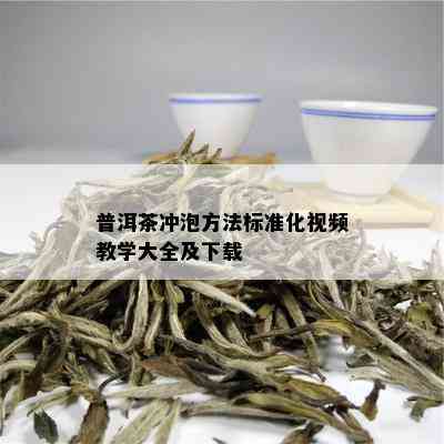 普洱茶冲泡方法标准化视频教学大全及下载