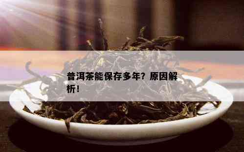 普洱茶能保存多年？原因解析！