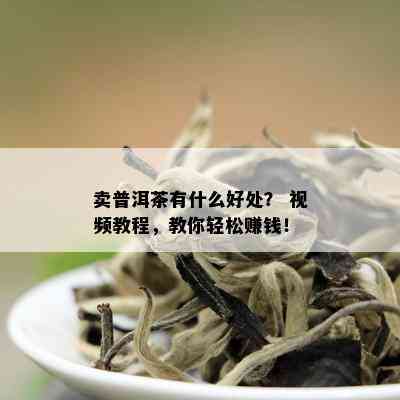 卖普洱茶有什么好处？ 视频教程，教你轻松赚钱！