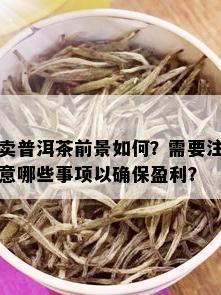 卖普洱茶前景如何？需要注意哪些事项以确保盈利？