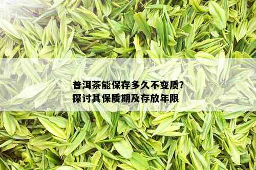 普洱茶能保存多久不变质？探讨其保质期及存放年限