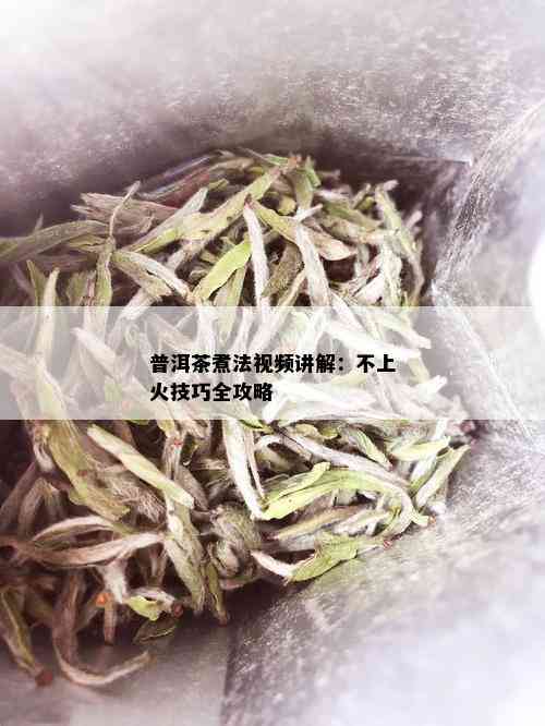 普洱茶煮法视频讲解：不上火技巧全攻略