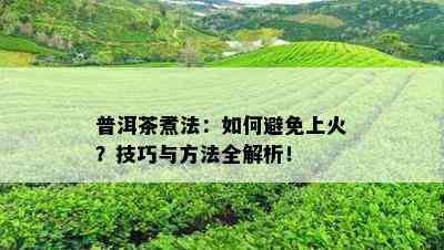 普洱茶煮法：如何避免上火？技巧与方法全解析！