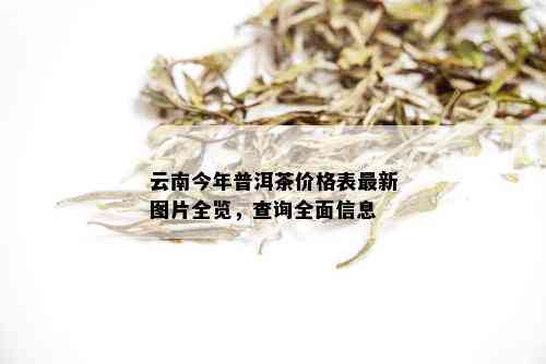 云南今年普洱茶价格表最新图片全览，查询全面信息