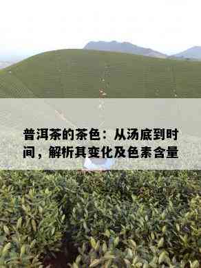 普洱茶的茶色：从汤底到时间，解析其变化及色素含量