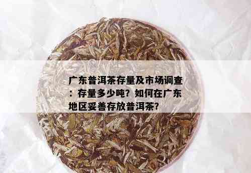 广东普洱茶存量及市场调查：存量多少吨？如何在广东地区妥善存放普洱茶？