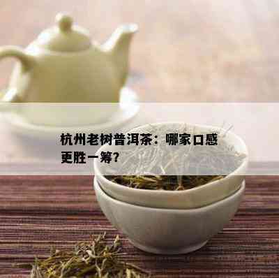 杭州老树普洱茶：哪家口感更胜一筹？