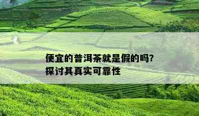 便宜的普洱茶就是假的吗？探讨其真实可靠性