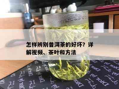 怎样辨别普洱茶的好坏？详解视频、茶叶和方法