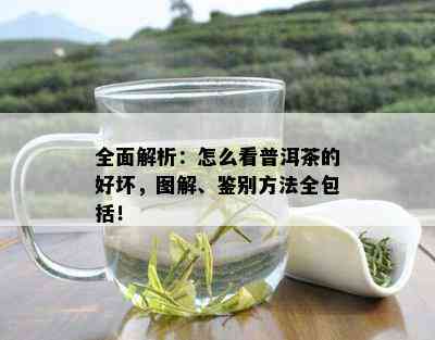 全面解析：怎么看普洱茶的好坏，图解、鉴别方法全包括！