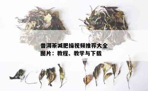 普洱茶减肥操视频推荐大全图片：教程、教学与下载