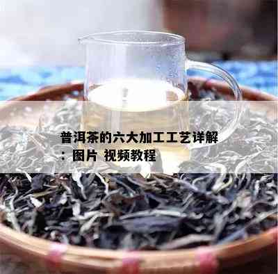 普洱茶的六大加工工艺详解：图片 视频教程