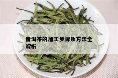 普洱茶的加工步骤及方法全解析