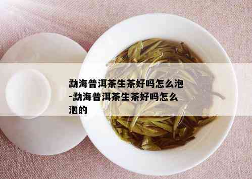 勐海普洱茶生茶好吗怎么泡-勐海普洱茶生茶好吗怎么泡的