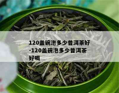 120盖碗泡多少普洱茶好-120盖碗泡多少普洱茶好喝